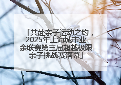 共赴亲子运动之约，2025年上海城市业余联赛第三届超越极限亲子挑战赛落幕
