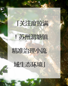 关注度拉满！苏州渭塘镇精准治理小流域生态环境