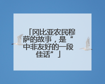 冈比亚农民穆萨的故事，是“中非友好的一段佳话”