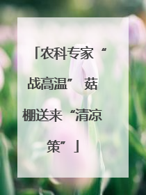 农科专家“战高温” 菇棚送来“清凉策”
