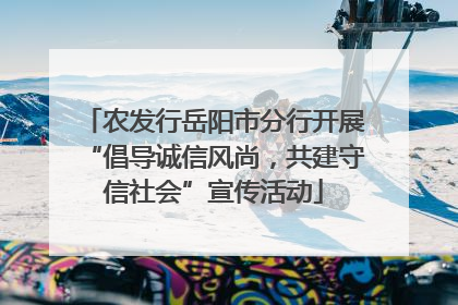 农发行岳阳市分行开展“倡导诚信风尚，共建守信社会”宣传活动