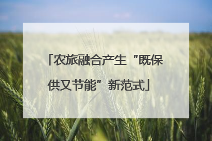 农旅融合产生“既保供又节能”新范式