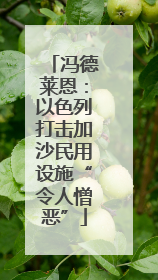 冯德莱恩：以色列打击加沙民用设施“令人憎恶”