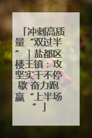 冲刺高质量“双过半”｜盐都区楼王镇：攻坚实干不停歇 奋力跑赢“上半场”