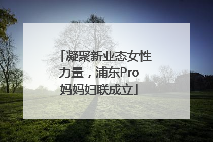 凝聚新业态女性力量，浦东Pro妈妈妇联成立