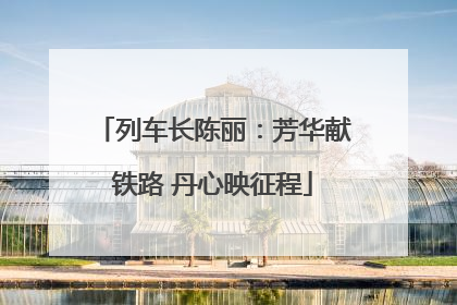 列车长陈丽：芳华献铁路 丹心映征程