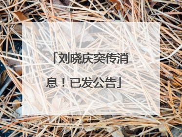 刘晓庆突传消息！已发公告