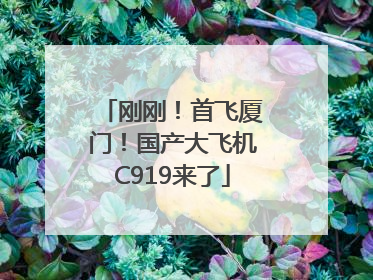 刚刚！首飞厦门！国产大飞机C919来了