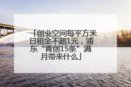 创业空间每平方米日租金不超1元，浦东“青创15条”满月带来什么