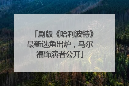剧版《哈利波特》最新选角出炉，马尔福饰演者公开