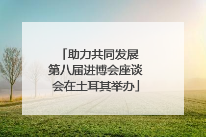 助力共同发展 第八届进博会座谈会在土耳其举办