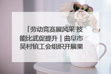 劳动竞赛展风采 技能比武促提升｜曲阜市吴村镇工会组织开展果树套袋技能竞赛