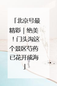 北京号最精彩｜绝美！门头沟这个景区芍药已花开成海