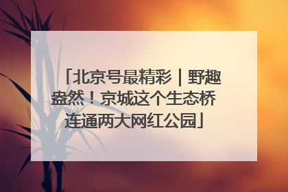 北京号最精彩｜野趣盎然！京城这个生态桥连通两大网红公园