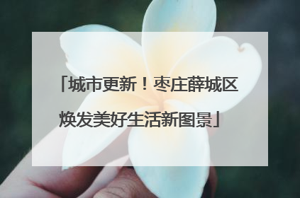 城市更新！枣庄薛城区焕发美好生活新图景