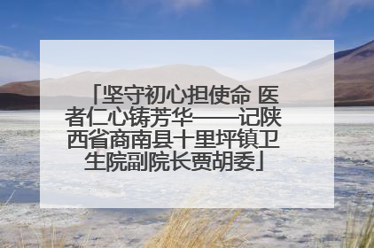 坚守初心担使命 医者仁心铸芳华——记陕西省商南县十里坪镇卫生院副院长贾胡委
