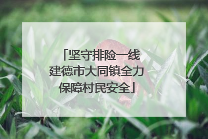 坚守排险一线 建德市大同镇全力保障村民安全