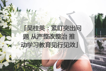 吴桂英：紧盯突出问题 从严整改整治 推动学习教育见行见效
