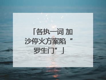 各执一词 加沙停火方案陷“罗生门”