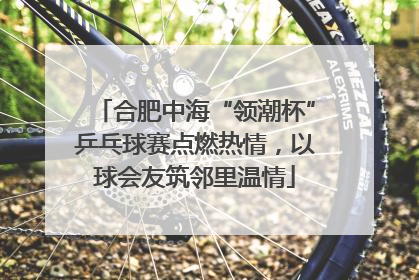 合肥中海“领潮杯”乒乓球赛点燃热情，以球会友筑邻里温情