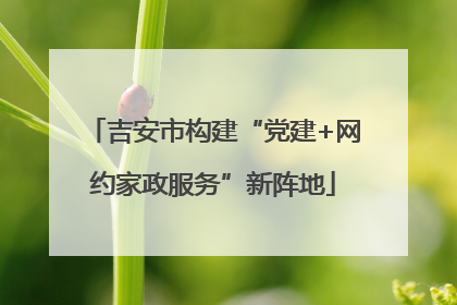 吉安市构建“党建+网约家政服务”新阵地