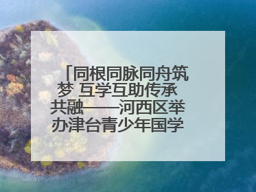 同根同脉同舟筑梦 互学互助传承共融——河西区举办津台青少年国学交流活动