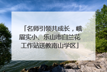 名师引领共成长，峨眉实小、乐山市白兰花工作站送教南山学区