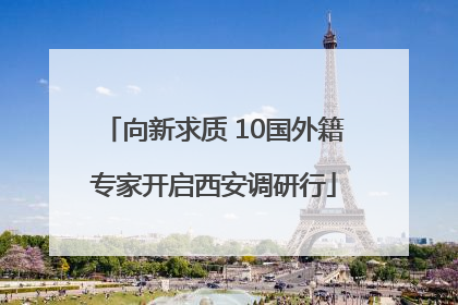 向新求质 10国外籍专家开启西安调研行