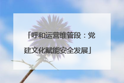 呼和运营维管段：党建文化赋能安全发展