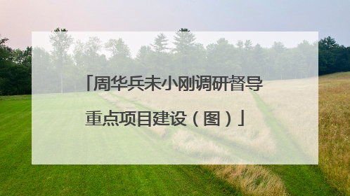 周华兵未小刚调研督导重点项目建设（图）