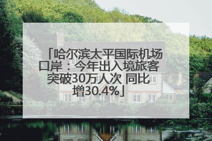哈尔滨太平国际机场口岸：今年出入境旅客突破30万人次 同比增30.4%
