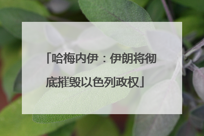 哈梅内伊：伊朗将彻底摧毁以色列政权