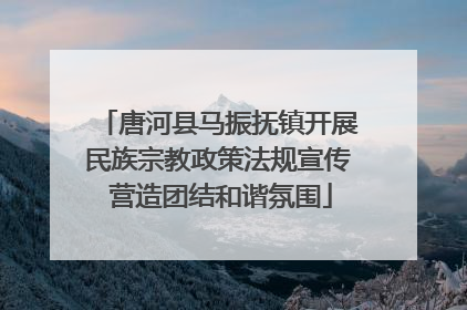 唐河县马振抚镇开展民族宗教政策法规宣传 营造团结和谐氛围