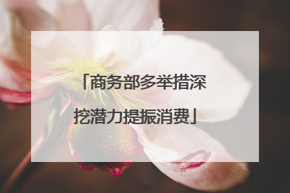 商务部多举措深挖潜力提振消费