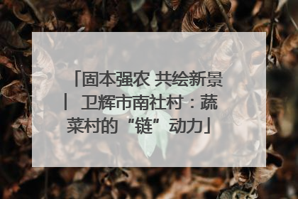 固本强农 共绘新景 ︳卫辉市南社村：蔬菜村的“链”动力