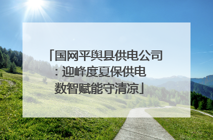 国网平舆县供电公司：迎峰度夏保供电  数智赋能守清凉