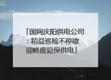 国网庆阳供电公司：精益巡检不停歇 迎峰度夏保供电