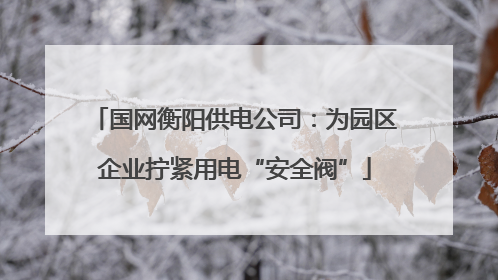 国网衡阳供电公司：为园区企业拧紧用电“安全阀”