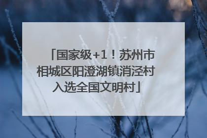国家级+1！苏州市相城区阳澄湖镇消泾村入选全国文明村