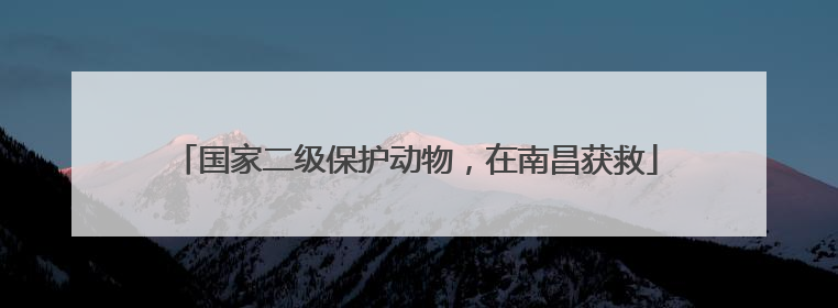 国家二级保护动物，在南昌获救