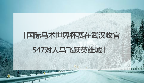 国际马术世界杯赛在武汉收官 547对人马飞跃英雄城