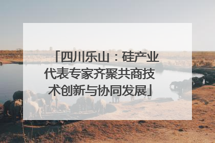 四川乐山：硅产业代表专家齐聚共商技术创新与协同发展