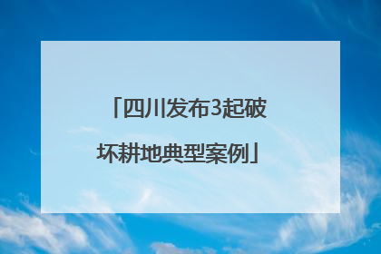 四川发布3起破坏耕地典型案例