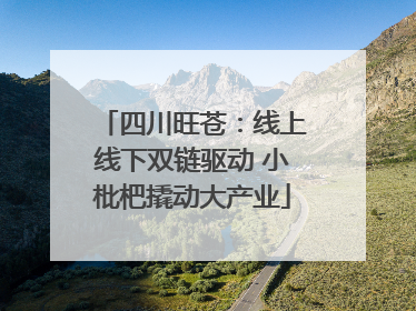 四川旺苍：线上线下双链驱动 小枇杷撬动大产业