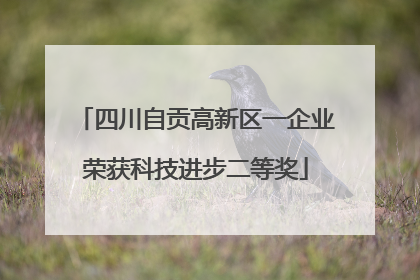 四川自贡高新区一企业荣获科技进步二等奖