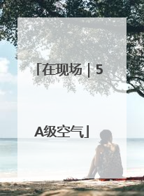 在现场｜5A级空气