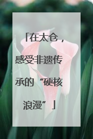 在太仓，感受非遗传承的“硬核浪漫”