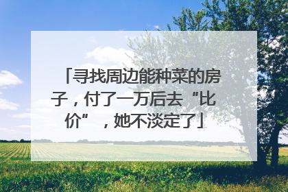 寻找周边能种菜的房子，付了一万后去“比价”，她不淡定了