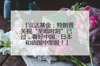 富达基金：特朗普关税“至暗时刻”已过，看好中国、日本和德国中型股！