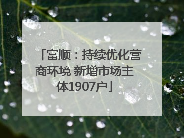 富顺：持续优化营商环境 新增市场主体1907户